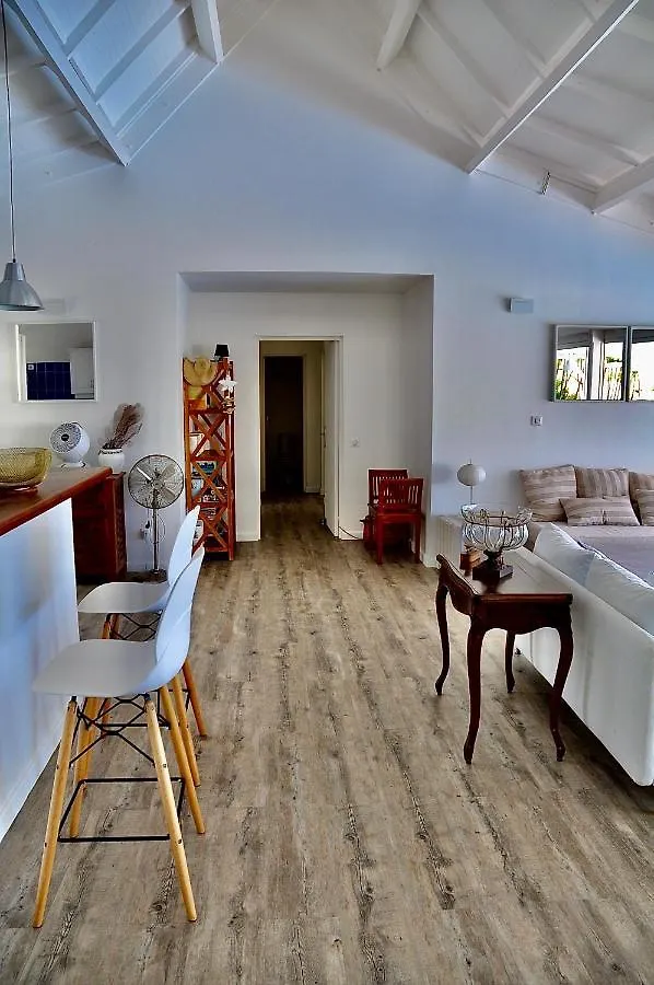 Magar Vue Mer Plain Pied Piscine Jacuzzi Standing Le Gosier  Guadeloupe